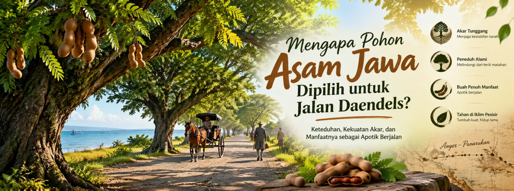 Sampul Mengapa Pohon Asam Jawa??